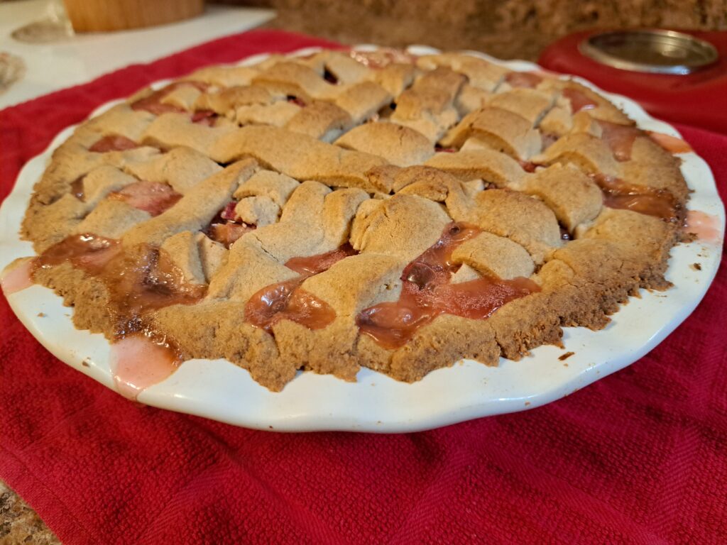 Rhubarb pie with a gluten free pie crust